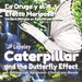 Caterpillar and the Butterfly Effect. La Oruga y el Efecto Mariposa: A Bilingual Spanish Children Book. Un libro Bilingüe en Español para Niños