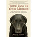 Your Dog Is Your Mirror: The Emotional Capacity of Our Dogs and Ourselves