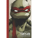 Teenage Mutant Ninja Turtles: The IDW Collection Volume 1
