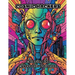 Cosmic Hackers: Coloring the Cybernetic Universe