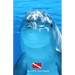 Diver's Log Book: scuba diving log book 100 dives