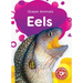 Eels
