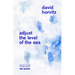 David Horvitz: Adjust the Level of the Sea