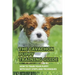 The Cavachon Puppy Training Guide: How To Train Your Puppy With Easy Steps And Techniques: Cavachon Puppy Commands For Cavachon Puppy