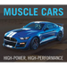 Muscle Cars: High-Power, High-Performance