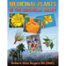 Medicinal Plants Of The Coachella Valley