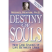Destiny of Souls: New Case Studies of Life Between Lives