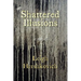 Shattered Illusions