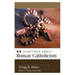 40 Questions about Roman Catholicism