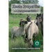 Horse Properties - A Management Guide