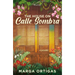 The House on Calle Sombra - A Parable