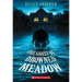 The Ghost of Drowned Meadow