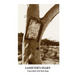 Lasseter's Diary: Transcribed with Mud-Maps