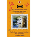 Finally Home: : Lessons on Life from a Free-Spirited Dog-LARGE PRINT
