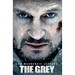 The Grey
