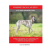 Whippet Dogs as Pets: Whippet Dogs General Info, Purchasing, Care, Cost, Keeping, Health, Supplies, Food, Breeding and more included! A Pet