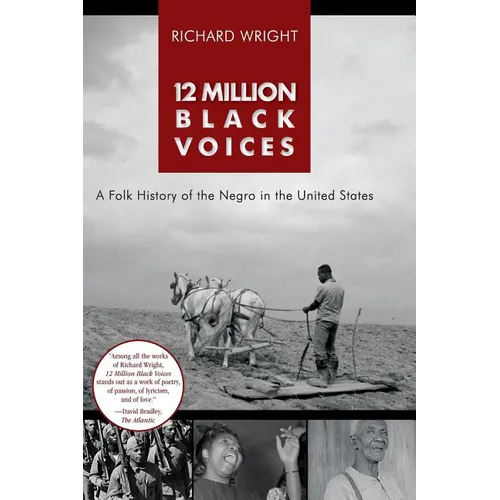 12 Million Black Voices