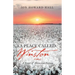 A Place Called Winston: A Novel of Historical Fiction