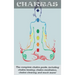 Chakras: The Complete Chakra Guide, Including Chakra Healing, Chakra Meditation, Chakra Clearing and Much More!