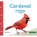 Cardenal Rojo (Northern Cardinals)