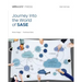Journey Into the World of SASE