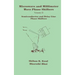 Semiconductor and Delay Line Phase Shifters