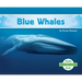Blue Whales