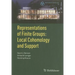 Representations of Finite Groups: Local Cohomology and Support
