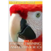 Parrot Training and Behavior 101