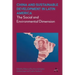 China and Sustainable Development in Latin America: The Social and Environmental Dimension