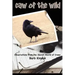 Caw of the Wild: Observations from the Secret World of Crows