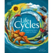 Life Cycles: Everything from Start to Finish