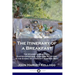 The Itinerary of a Breakfast: The Stages of Digestion; Gastro-Intestinal Care and Nutrition in the Eating of a Healthy Morning Meal