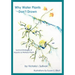Why Water Plants Don't Drown: Survival Strategies of Aquatic and Wetland Plants