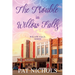 Trouble in Willow Falls