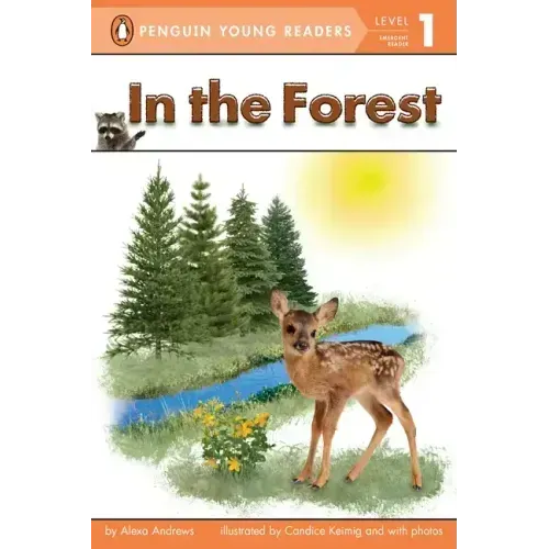 In the Forest