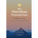 The Marvelous Primordial State