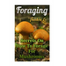 Foraging: Secrets On How To Forage For Mushrooms