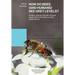 How Do Bees (and Humans) See Grey Levels?: Intuitive, logical, and anti-intuitive explanations for some curious observations