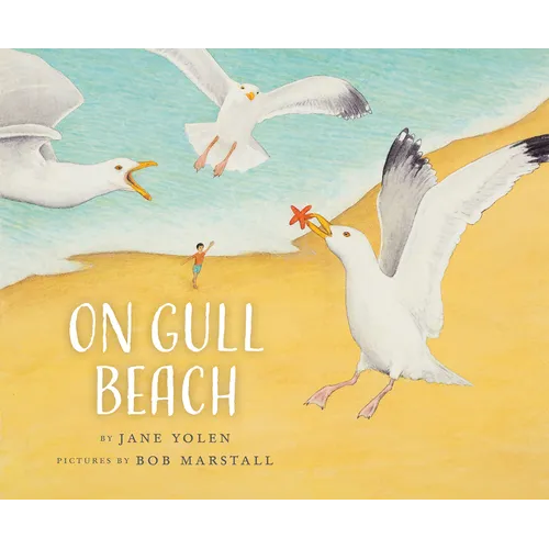 On Gull Beach