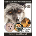 Foxes: Photos and Fun Facts for Kids