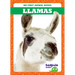Llamas