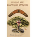 Boomerang Betrayal: Beguiling Anne