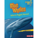 Blue Whales: Nature's Biggest Mammal