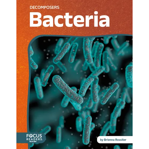 Bacteria