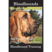 Bloodhounds, Bloodhound Training Book For both Bloodhound Dogs & Bloodhound Puppies By D!G THIS DOG Training: Dog Training Begins From the Car Ride Ho