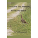 Conserve the Amazing Numenius Birds