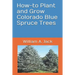 How-To Plant and Grow Colorado Blue Spruce Trees