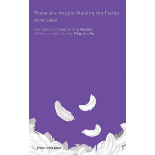There Are Angels Walking the Fields