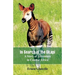 In Search of the Okapi: A Story of Adventure in Central Africa